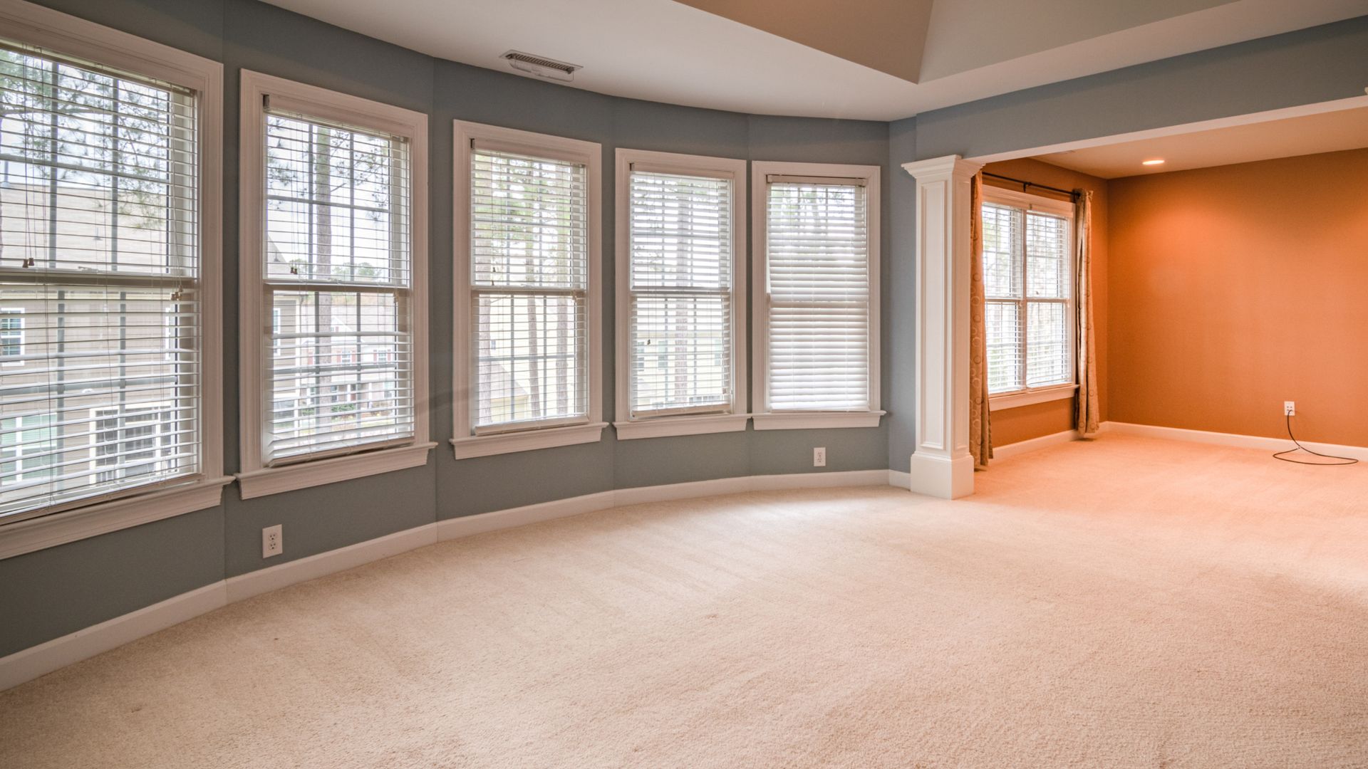 Living Room with Plenty Windows and Carpeted Floor